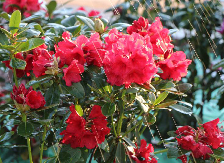 昆明戶(hù)外拓展訓(xùn)練基地