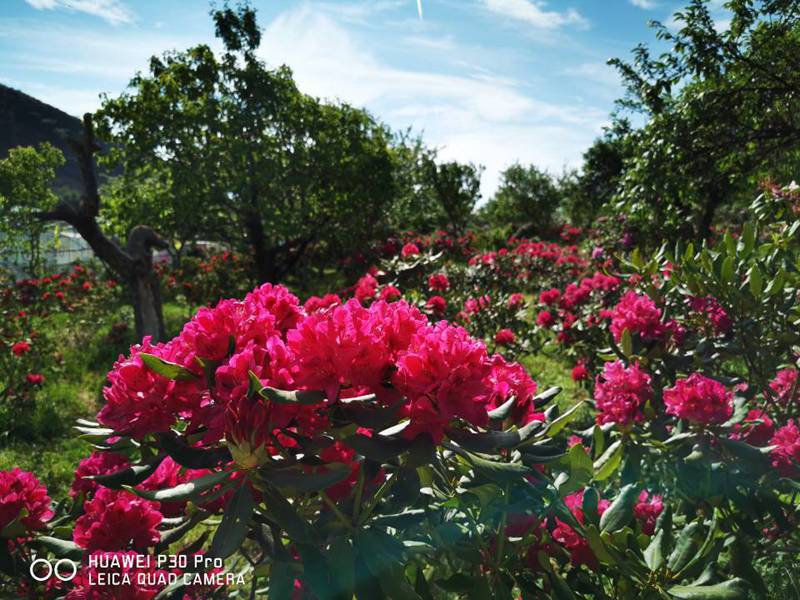 昆明戶(hù)外拓展訓(xùn)練基地