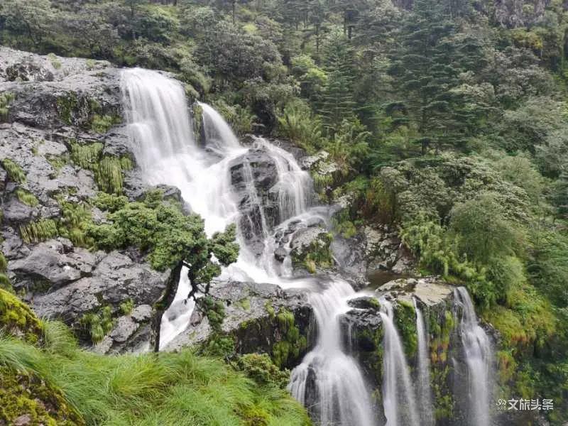 去不了遠(yuǎn)方，快來離春城最近的轎子雪山玩耍！吃住游玩樣樣齊！