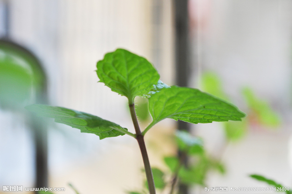 在昆明舉辦研學(xué)旅行有哪些優(yōu)勢？