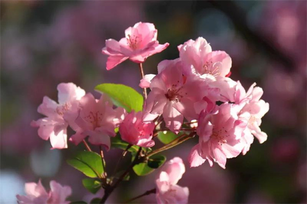 擇一城，愛一生，昆明，絕對是你不錯的選擇！