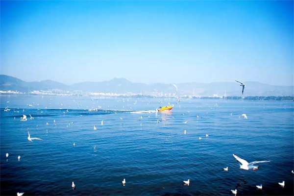 想偷半日浮生閑？來昆明看天、看湖、看雪景|春城冬韻·美景