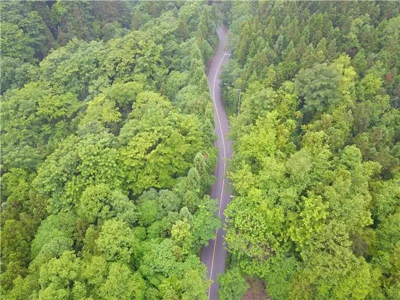 因?yàn)樘珒?yōu)秀，大家往往忽略了這個地方的顏值......   昆明年會策劃