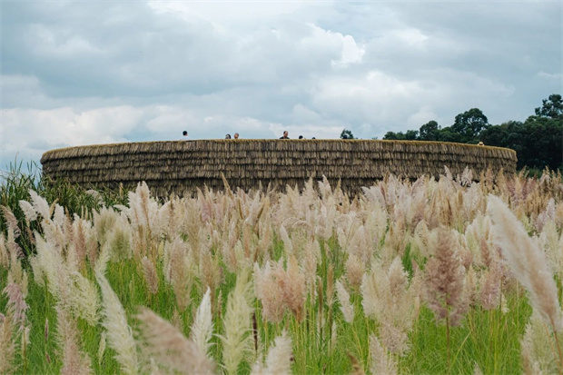 云南旅游,云南旅行社,云南團建公司,云南策劃公司,云南會議會展,昆明旅游,昆明旅行社,昆明團建公司,昆明策劃公司,昆明會議會展：氛圍感超絕！大片秒出！彩色蘆葦加持，滇池綠道已經美到next level了！快沖~